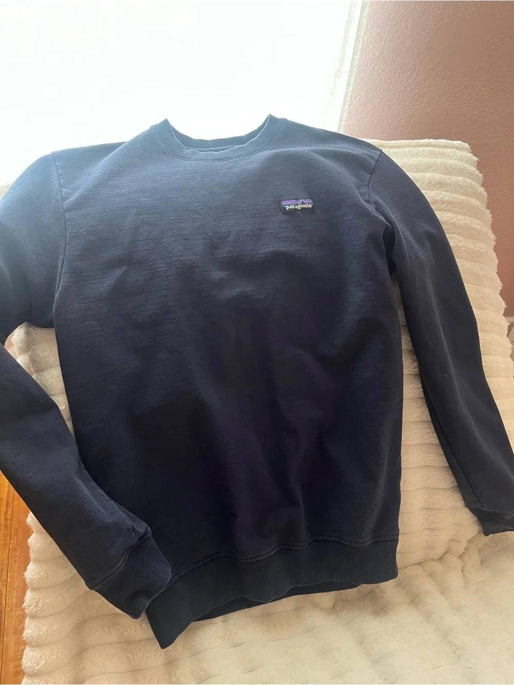Patagonia simple crewneck